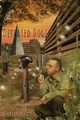 Defeated Dogs (Paperback) by Quentin S Crisp 9781908125200