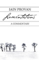 Lamentations by Iain Provan 9781573835312