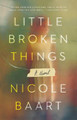 Little Broken Things: A Novel by Nicole Baart