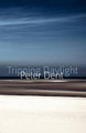 Tripping Daylight by Peter Dent 9781848612341