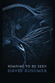 Remains to Be Seen by David Rushmer 9781848615823