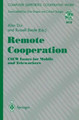 Remote Cooperation: CSCW Issues for Mobile and Teleworkers by Alan Dix 9783540760351