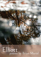 Elliott by Brian Muriel 9781955521147