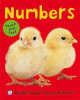 Numbers by Priddy Books 9780312504236