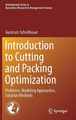 Introduction to Cutting and Packing Optimization: Problems, Modeling Approaches, Solution Methods by Guntram Scheithauer 9783319644028