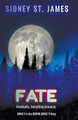 Fate - Eventually Everything Connects by Sidney St James 9798215490914