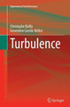 Turbulence by Christophe Bailly 9783319367521
