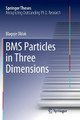 BMS Particles in Three Dimensions by Blagoje Oblak 9783319871844