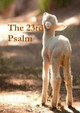 The 23rd Psalm by Terrie Sizemore 9781946908964