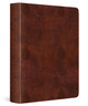 ESV Single Column Journaling Bible 9798874900335