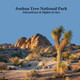 Joshua Tree National Park Attractions and Sights to See Kids: Great Book for Children about Joshua Tree National Park by Kinsey Marie 9781965098226