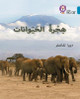 Animal Migration: Level 13 (Collins Big Cat Arabic Reading Programme) by Deborah Chancellor