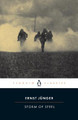 Storm of Steel by Professor Ernst Junger