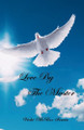 Love by the Master by Vicki McBee Irwin 9781958533970