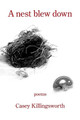 A nest blew down by Casey Killingsworth 9781954353855