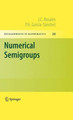 Numerical Semigroups by J.C. Rosales 9781441901590