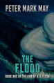 The Flood by Dan Henk 9781951510916