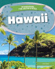 Hawaii by Ib Larsen 9781098293819