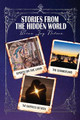 Stories From the Hidden World by Brian Jay Nelson 9781648732348