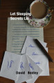 Let Sleeping Secrets Lie by David Beeley 9781917293693