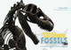 50 State Fossils: A Guidebook for Aspiring Paleontologists by ,Yinan Wang
