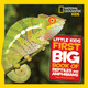 Little Kids First Big Book of Reptiles and Amphibians (Little Kids First Big Books) by  9781426338182