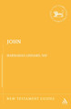 John by Barnabas Lindars 9781850752554