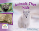 Animals That Hide by  9781398247277