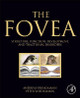 The Fovea: Structure, Function, Development, and Tractional Disorders by Andreas Bringmann 9780323904674