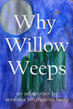 Why Willow Weeps by Serafima Timofeavna Healy 9781389849855