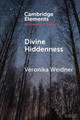 Divine Hiddenness by Veronika Weidner