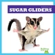 Sugar Gliders by Natalie Deniston 9798892135252