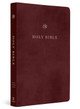 ESV Gift and Award Bible 9781433590283