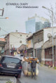 Istanbul Diary Peter Bialobrzeski 9783960701200