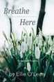 Breathe Here by Ellie O'Leary 9781943424559