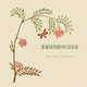 Brushwork by Marion Hudson 9781925729948