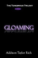 Gloaming by Addison Taylor Rich 9798201174880