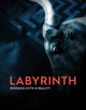 Labyrinth: Knossos Myth and Reality by Andrew Shapland