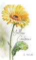 Yellow Gerbera by J L Herald 9780645991567