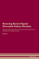 Reversing Bovine Papular Stomatitis: Kidney Filtration The Raw Vegan Plant-Based Detoxification & Regeneration Workbook for Healing Patients. Volume 5 by Health Central 9781395402679