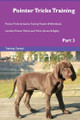 Pointer Tricks Training Pointer Tricks & Games Training Tracker & Workbook. Includes: Pointer Multi-Level Tricks, Games & Agility. Part 3 by Training Central 9781526956163