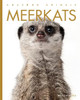 Meerkats by Kate Riggs 9781682771259