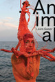 Animal: Laura Gaiser Laura Gaiser 9783987411809