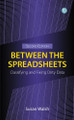 Between the Spreadsheets: Classifying and Fixing Dirty Data Susan Walsh 9781783307852