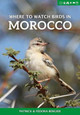 Where to Watch Birds in Morocco by Patrick Bergier