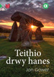 Cyfres Amdani: Teithio drwy Hanes by Jon Gower
