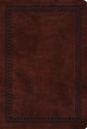 ESV Large Print Compact Bible, Red Letter 9798874902995
