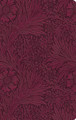 ESV Value Thinline Bible 9798874903350