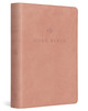 ESV Large Print Compact Bible 9798874904371