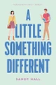 A Little Something Different by Sandy Hall 9781250419811